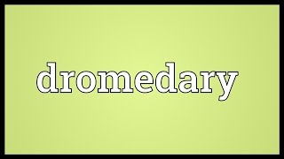 Dromedary Meaning [upl. by Aicelef]