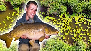 Carp Fishing on the River  an EPIC start to our fishing season [upl. by Ardnatal968]