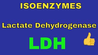 Lactate Dehydrogenase Enzyme  LDH  Isoenzymes  By Dorka Beri [upl. by Nadnarb]