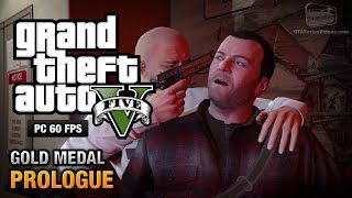 Grand Theft Auto V First Person Experience [upl. by Cochran58]