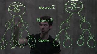 Genetics Nondisjunction amp Meiosis [upl. by Edveh279]