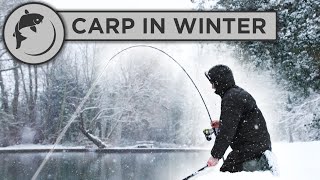 CATCH MORE CARP in WINTER with these 5 tips [upl. by Tranquada]