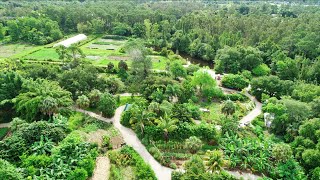 This Legendary Florida Farm Has Changed The Way We Grow Food [upl. by Lavern]