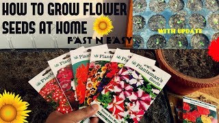 How To Grow Flower Seeds Fast With Update [upl. by Stegman196]