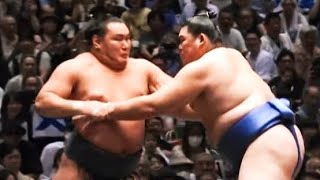 Aki Basho 2024 Day 14 Onosato vs Hoshoryu [upl. by Sheela]