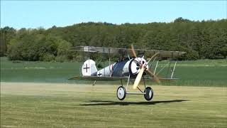 Mikael Carlson Pfalz DVIII  Maiden Flight [upl. by Evangelin]