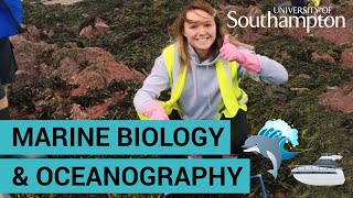 Study Marine Biology and Oceanography  University of Southampton [upl. by Hume]