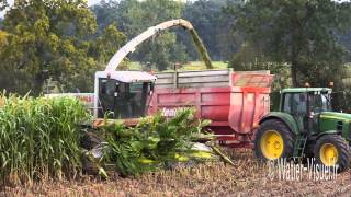 Ensilage de Sorgho fourrager avec une Ensileuse Claas Jaguar 890 [upl. by Rheingold779]