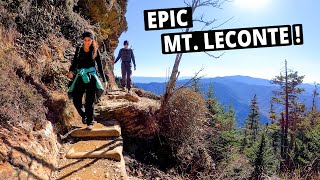 Our Favorite Smoky Mountains Hike  Alum Cave Trail to Mount LeConte  SMNP [upl. by Latsirhc]