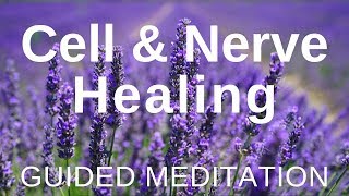 Guided HEAL Meditation  Cell and Nerve Healing Self Healing Meditation [upl. by Marcelle]