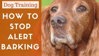 How To Train A Dog To Stop Alert Barking [upl. by Walden]