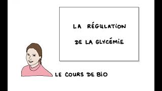 La régulation de la glycémie [upl. by Chrisse]