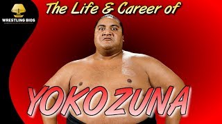 The Life and Career of Yokozuna [upl. by Enirol]