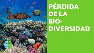 PÉRDIDA de la BIODIVERSIDAD CAUSAS y CONSECUENCIAS [upl. by Collins872]