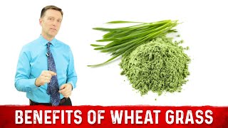 12 Scientific Health Benefits of Wheat Grass Powder by Dr Berg [upl. by Hardden]