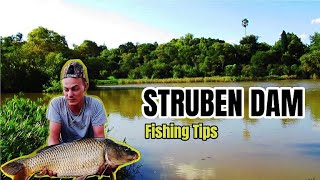 Short Fishing Session Struben Dam  Pretorias little Gem  Tips amp Location [upl. by Marci]