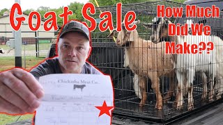 How to Make Money Raising Goats [upl. by Dru]