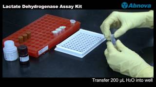 Lactate Dehydrogenase Assay Kit [upl. by Neeron]