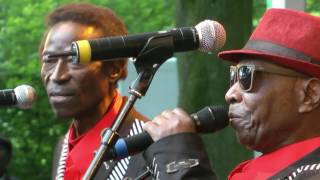 Orchestre Les Mangelepa  Kanemo  LIVE at Afrikafestival Hertme 2016 [upl. by Orelie]