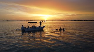 Islamorada Sandbar Experience FLORIDA KEYS [upl. by Korella949]