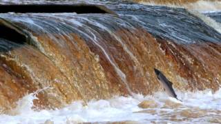 Kielder Water amp Forest Park [upl. by Sackman]