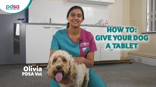 How To Give Your Dog A Tablet PDSA Petwise Pet Health Hub [upl. by Ninnetta133]