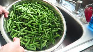 Prepping and Pressure Canning Green Beans for Beginners [upl. by Sundin]