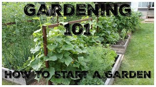 Gardening 101 How To Start A Garden [upl. by Daloris53]