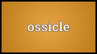 Ossicle Meaning [upl. by Platto]