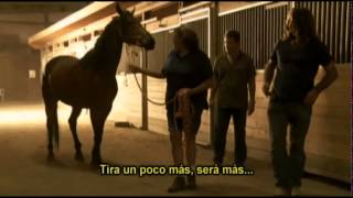 El Domador De Caballos · Jack Forest Holy y Mr Mum [upl. by Dawn709]