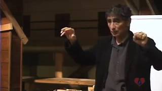 Brain Development amp Addiction with Gabor Mate [upl. by Wadell]