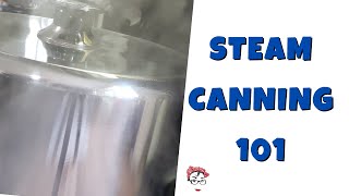 Steam Canning 101 So EXCITING [upl. by Sirej]