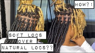 Soft Locs over Natural Locs  Beginner Friendly  Best Tutorial  Extended Soft Locs [upl. by Earised61]