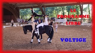 LE PROGRAMME LIBRE EN VOLTIGE EQUESTRE [upl. by Quickel176]