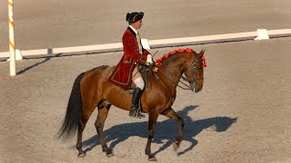 Escola Portugesa de Arte Equestre  quotBolero dance of the horsesquot [upl. by Arted]