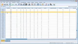 Data cleaning in SPSS [upl. by Chloras]