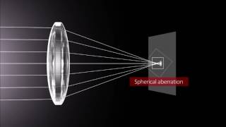 How Lenses Function [upl. by Eisenberg]