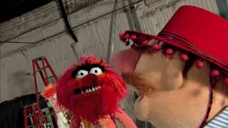 Habanera  Muppet Music Video  The Muppets [upl. by Eilyw]