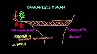 Davranışçı Kuram Psikoloji  Davranış [upl. by Loos]