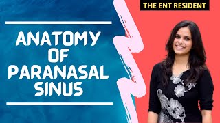 Anatomy of Paranasal Sinus [upl. by Arondell608]