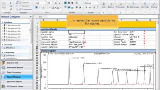 Chromeleon CDS Find report formula [upl. by Eeral683]