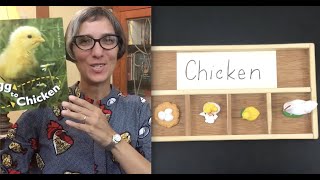 Chicken  Life Cycle  Egg To Chicken  Science  Preschool  Read Aloud  Story [upl. by Nodnelg]