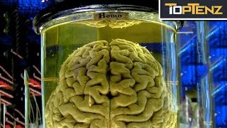 Top 10 Most Famous THOUGHT EXPERIMENTS [upl. by Marybella]