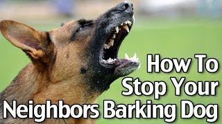 How To Stop Your Neighbor’s Dog From Barking  Short Version [upl. by Ellinehc]