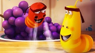 LARVA  LEVITATION  Cartoon Movie  Cartoons  Comics  Larva Cartoon  LARVA Official [upl. by Nanreit]