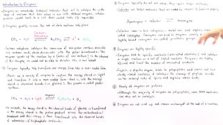 Properties of Enzymes [upl. by Janey]