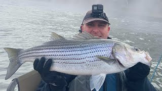 Catching Striped Bass and Trout at Wolf Creek Dam below Lake Cumberland [upl. by Kalman]