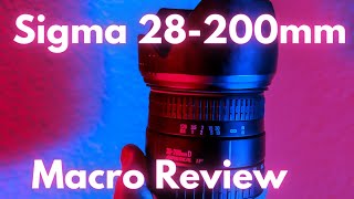 Sigma 28 200mm Macro lens Review 2021 [upl. by Araj]