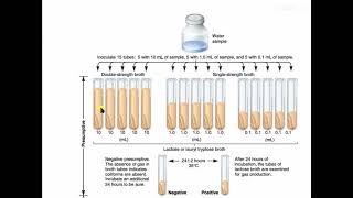 Microbiological Examination of Water MPN [upl. by Dranal]