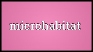 Microhabitat Meaning [upl. by Karolina690]